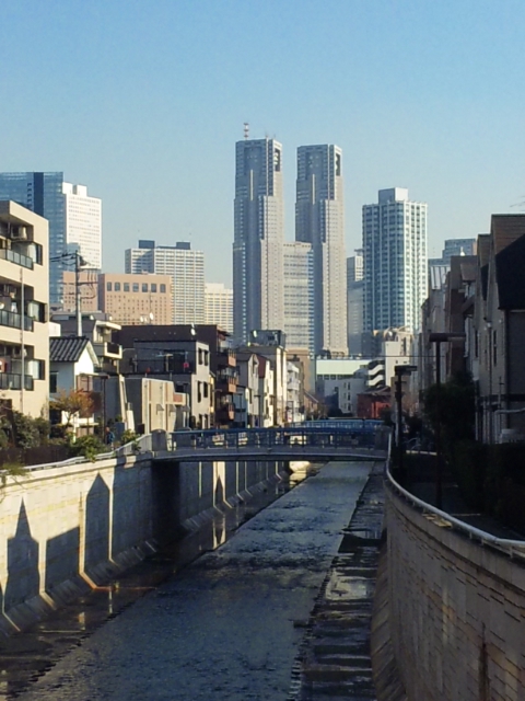 都庁の風景写真